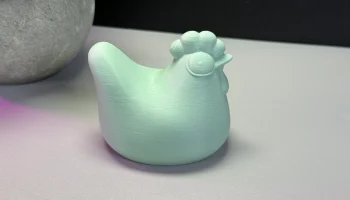 Chicken 7