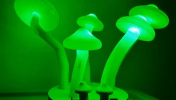 Грибная светодиодная лампа Arduino 2
