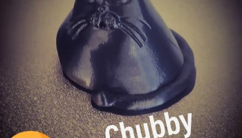 Спящий пухлый кот