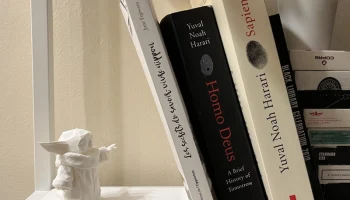 Низкополигональная подставка для книг Малыша Йоды / подст...