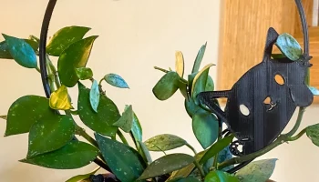 Подглядывающая кошачья решетка для растений...
