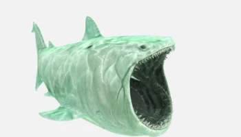 the bloop 1