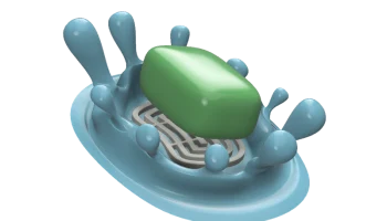 SPLASH ! 2