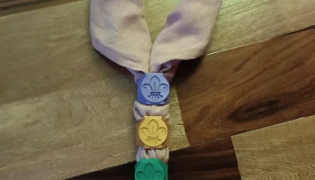 Международный скаут fleur de lis woggle - Canuto o pasa pa&ntilde;u 6