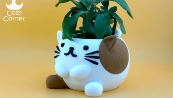 Милая кошачья плантаторка