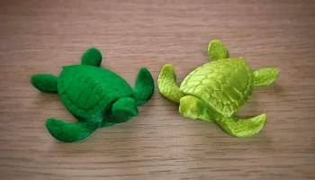 Sea Turtle 1