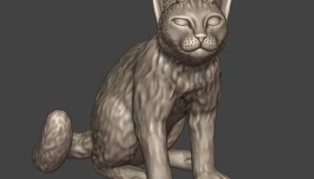 Уличный кот / Кот-разбойник 1