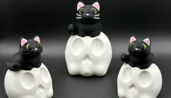 Черная кошка на черепе 1