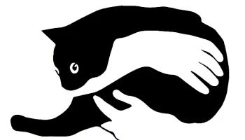 Кот в твоих руках 1