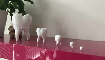 Tooth