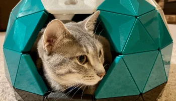 Cat House с геодезическим куполом - Totally Screwed Remix... Cat House с геодезическим куполом - Totally Screwed Remix...