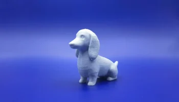 Длинный и низкий компаньон 1