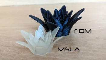 Flower Flower