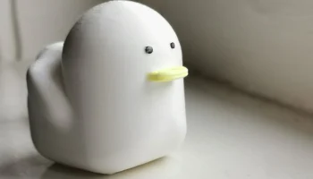 Cute Duck 1