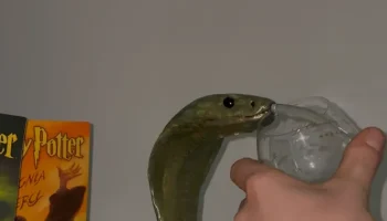 Диспенсер для вина Nagini - носик в виде головы змеи, вдо... 1