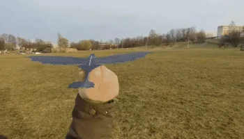 Летающий ночной дракон 5