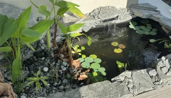 Водосброс для пруда, водопада, диффузор воды......... 1