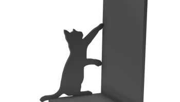 кот-форзац 1