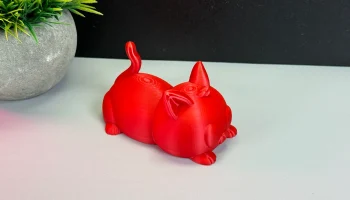 Cute Cat 9