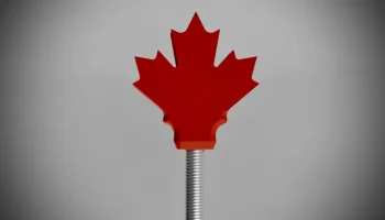Крышка клапана Presta Maple Leaf