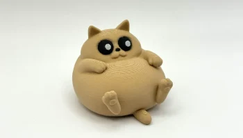 Холодный Чонки Кот 3