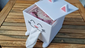 Коробка для салфеток для кошек 2