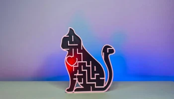 Лабиринт кошачьего сердца 1