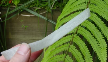 Rice Spoon 1