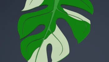 Print-a-plant - растение Монстера для печати 8