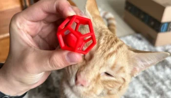Игрушка для кошек Penta-Ball (печать на месте)... 2