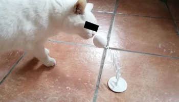 "Bobble Ball" - игрушка для кошек - НОВИНКА: версии Грута... 5