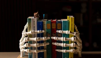 Скелет Рука Книжный упор 4