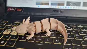Шарнирный принт на месте Аксолотля......... 3