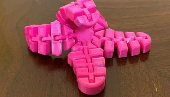 Гибкая морская звезда 5