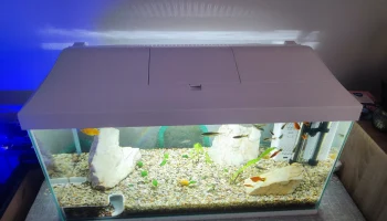 Автоматическая кормушка для рыбы AquaEl 60л............. 4