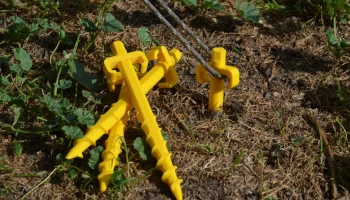 Tent peg