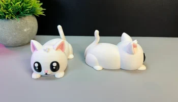 Cute Cat 3