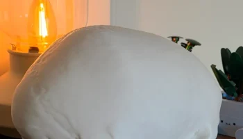 Настоящий сегментированный человеческий череп...... 1