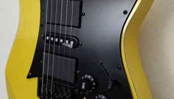 Замена накладки Vester (например, Ibanez RG)...... 1