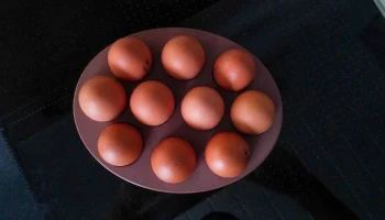 Дизайнерская система хранения подставок для яиц Курица, З... 3