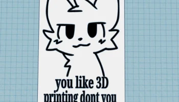 Тебе нравится 3D-печать, не так ли? ОуО......