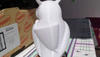 Почтовая сова из Гарри Поттера 1