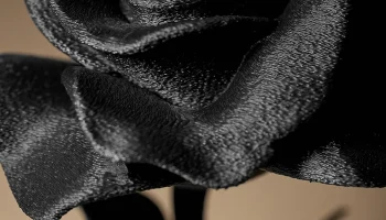 Rose Decor 2
