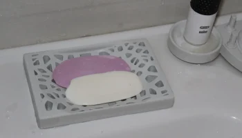 Мыльница Вороного 1