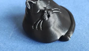Спящий пухлый кот 3