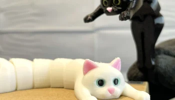 Flexi Holding Cat (печать на месте) 9