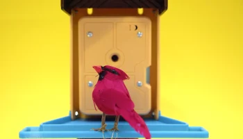 Камера кормушки Iot Birder 6
