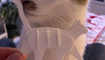 Карточка с набором "Идущая кошка" 1
