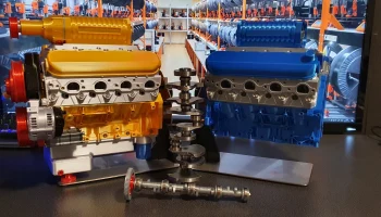 LS3 Желтая птица 5