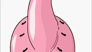 Наклейка "Kid Boo Dragon Ball Z" 1